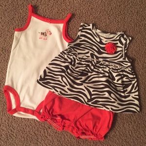Adorable 3 Piece Carter’s Zebra Set